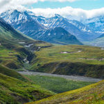 Into the wild Alaska - Denali National Park, Alaska | www.viktoriastable.com