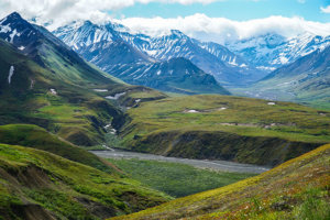 Into the wild Alaska - Denali National Park, Alaska | www.viktoriastable.com