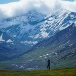 Into the wild Alaska - Denali National Park, Alaska | www.viktoriastable.com