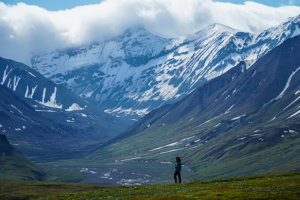 Into the wild Alaska - Denali National Park, Alaska | www.viktoriastable.com