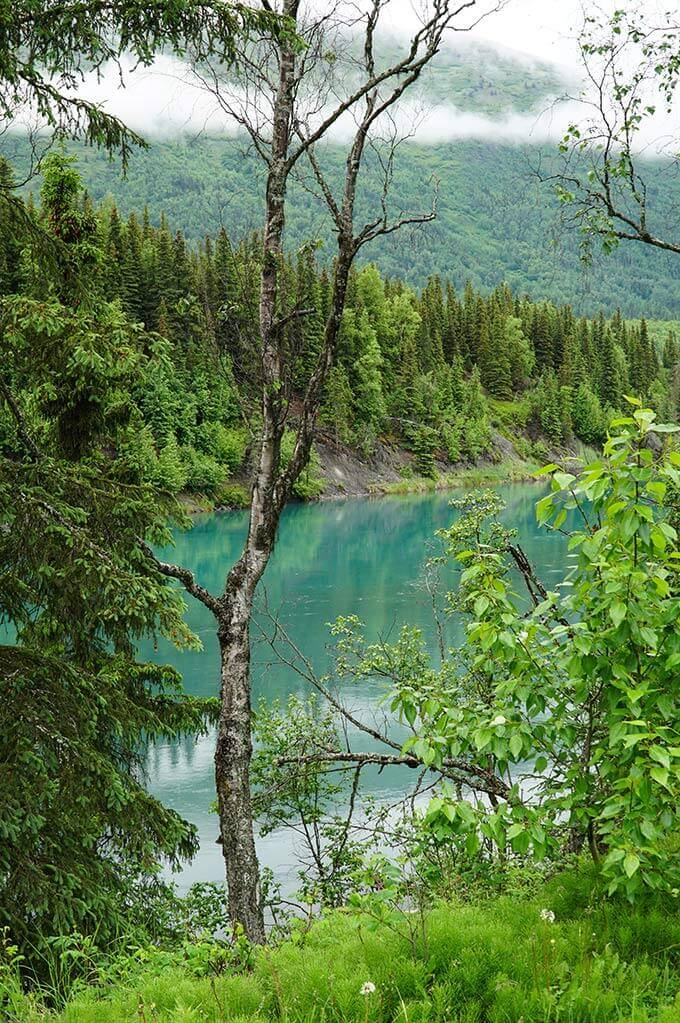 Into the wild Alaska - Chugach National Forest, Alaska | www.viktoriastable.com