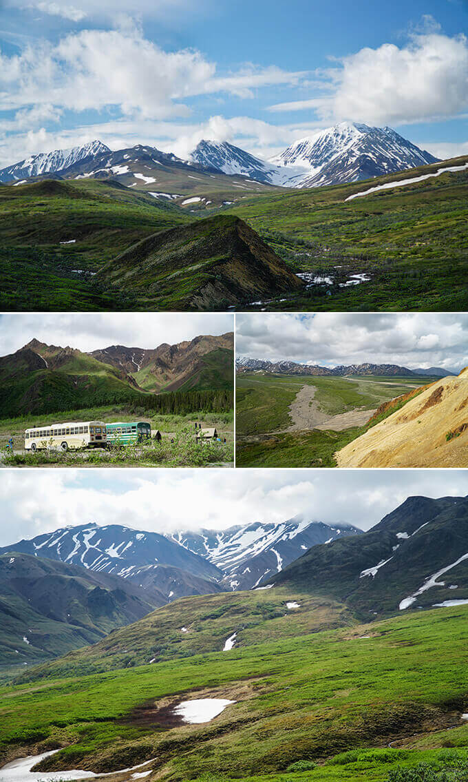 Into the wild Alaska - Denali National Park, Alaska | www.viktoriastable.com