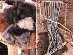 alpaca wool