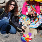 Baby alpaca on the streets of Cusco