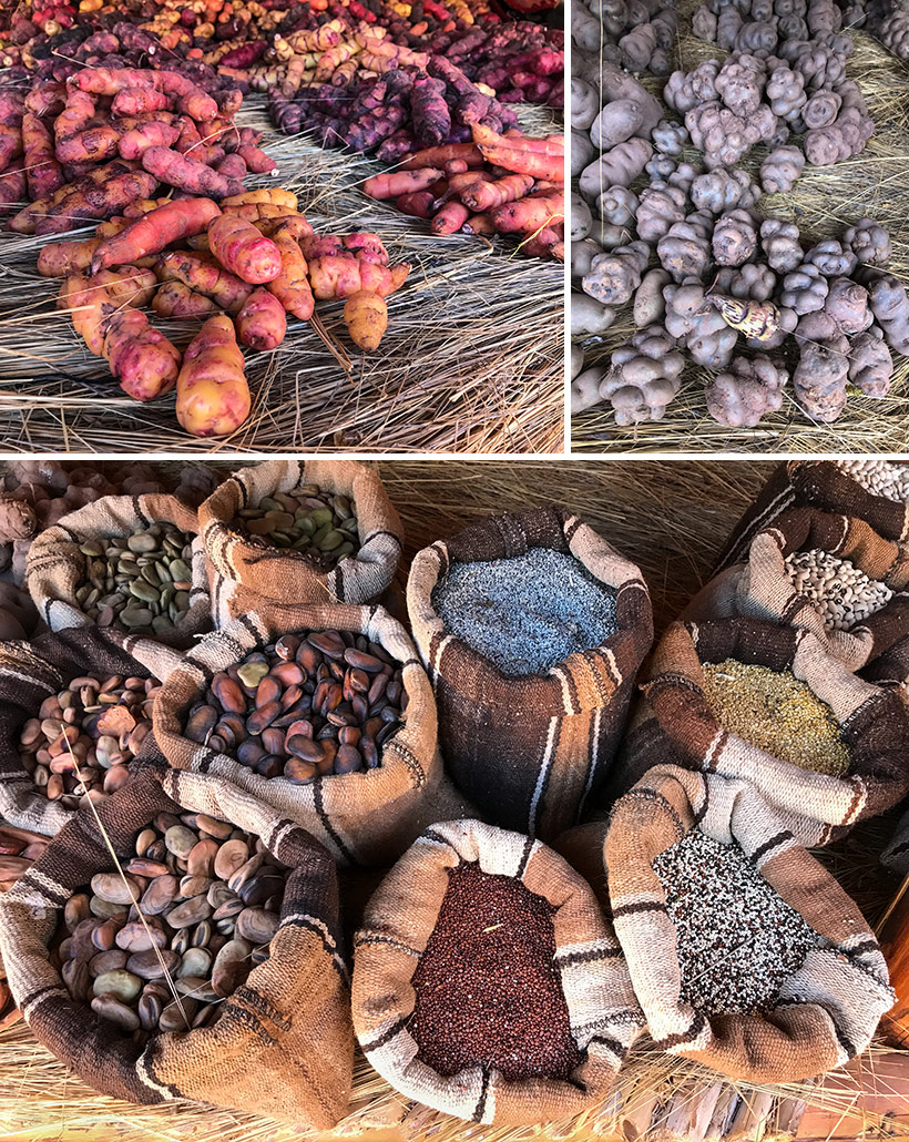 Ocutuan - potatoes and grains