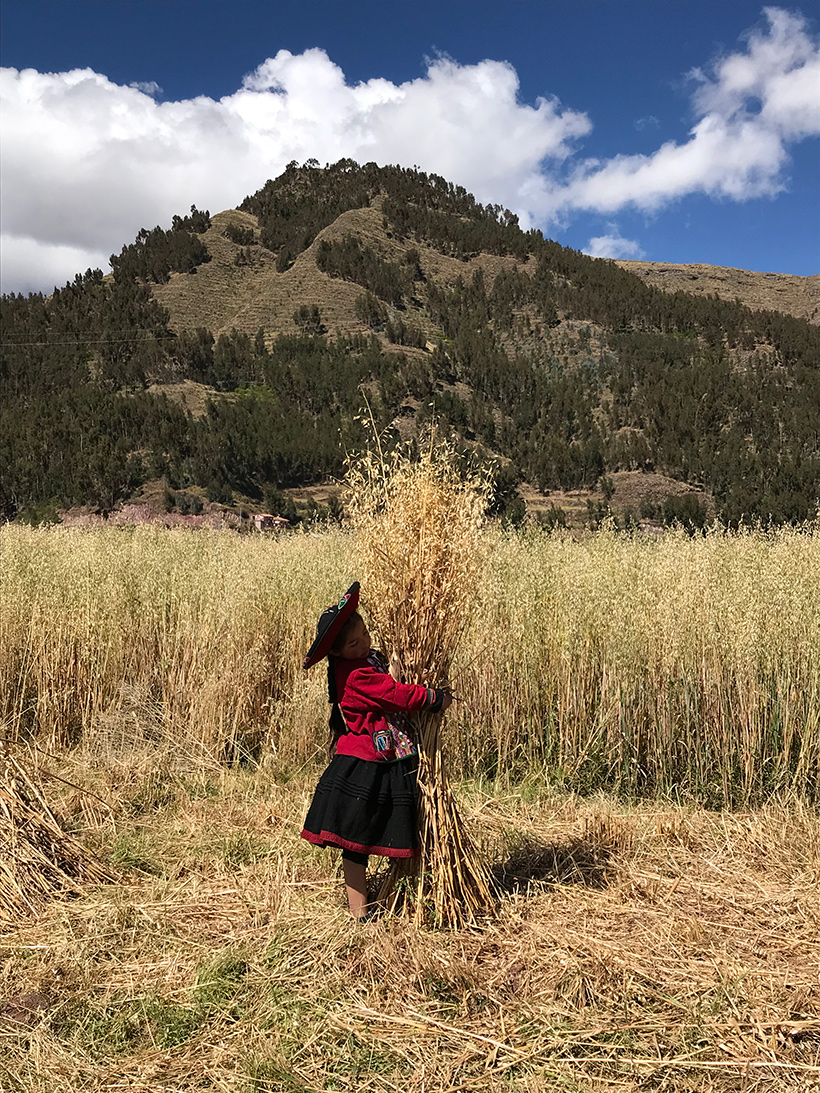 Ocutuan - Chinchero, Peru