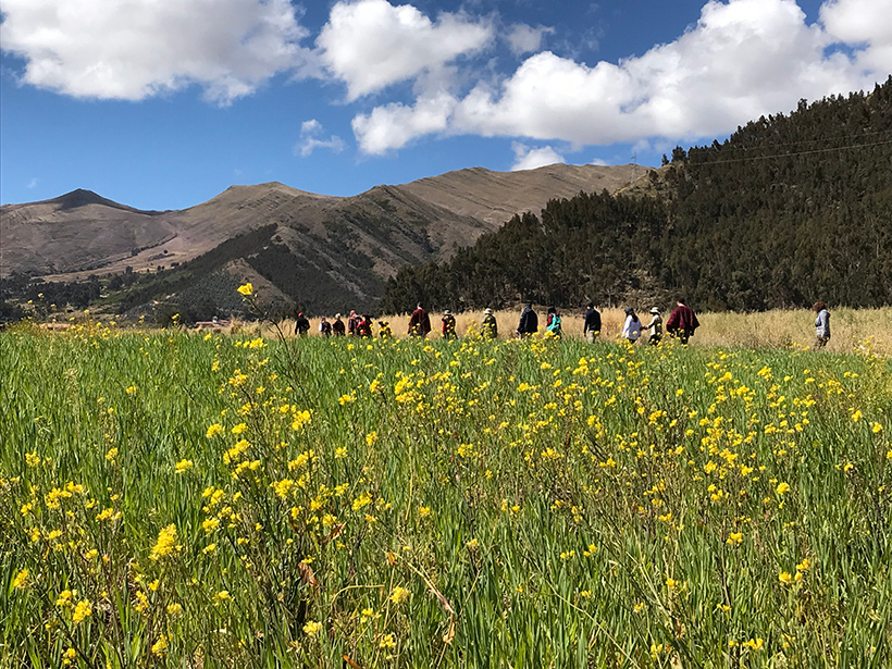 Ocutuan - Chinchero, Peru