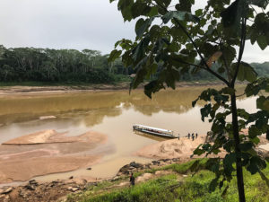 Amazon jungle, Tambopata National Reserve | www.viktoriastable.com