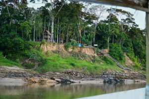 Amazon jungle, Tambopata river | www.viktoriastable.com