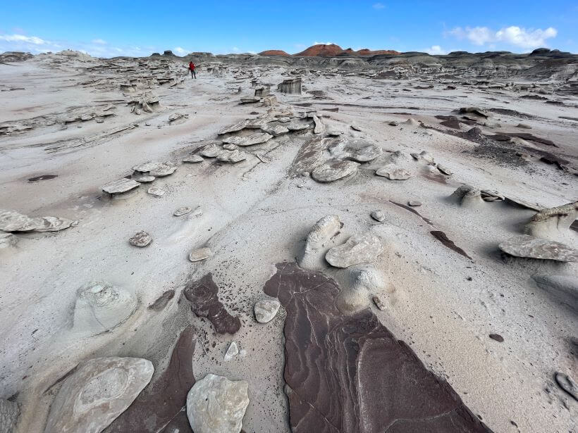 Bisti Badlands/De-Na-Zin Wilderness