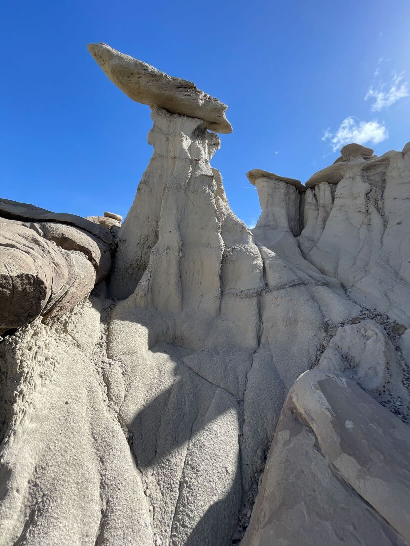 Bisti Badlands/De-Na-Zin Wilderness