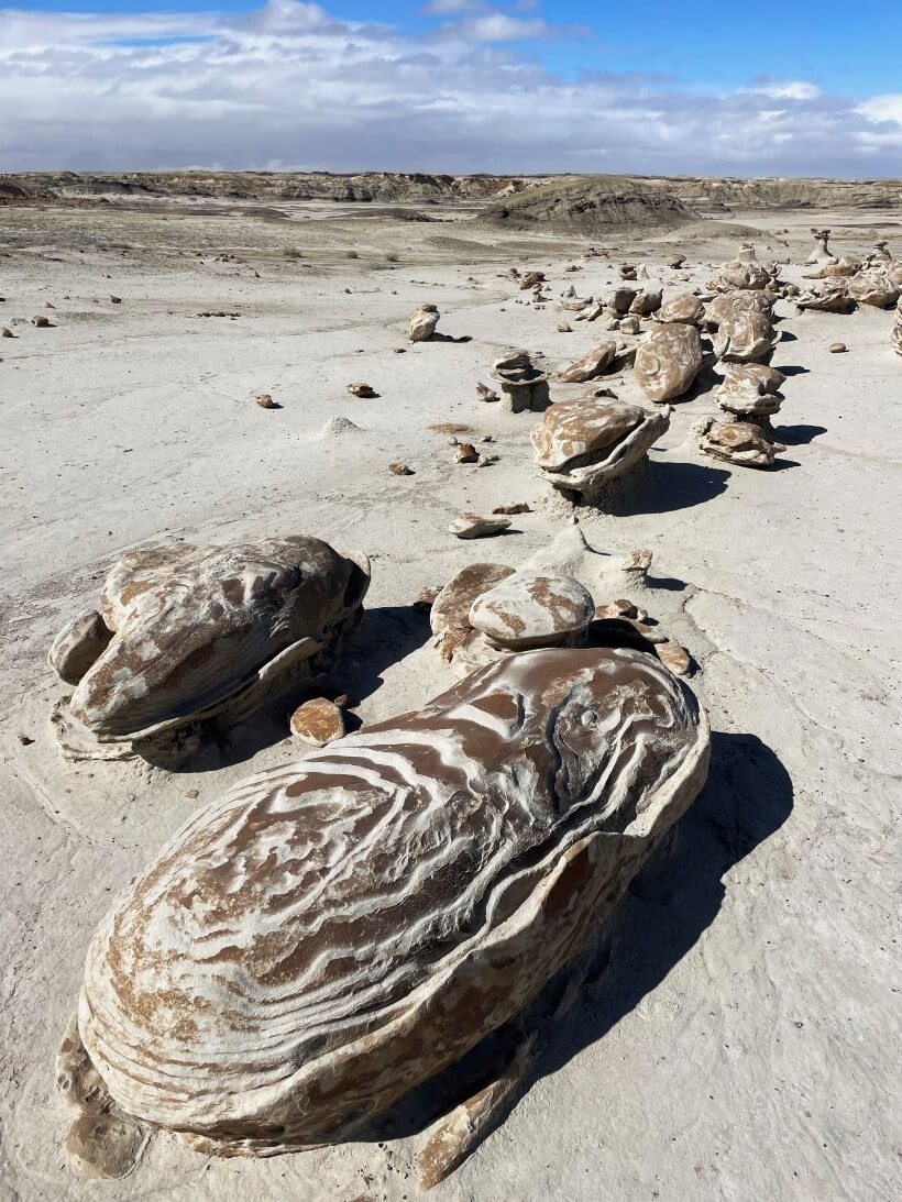 Bisti Badlands/De-Na-Zin Wilderness