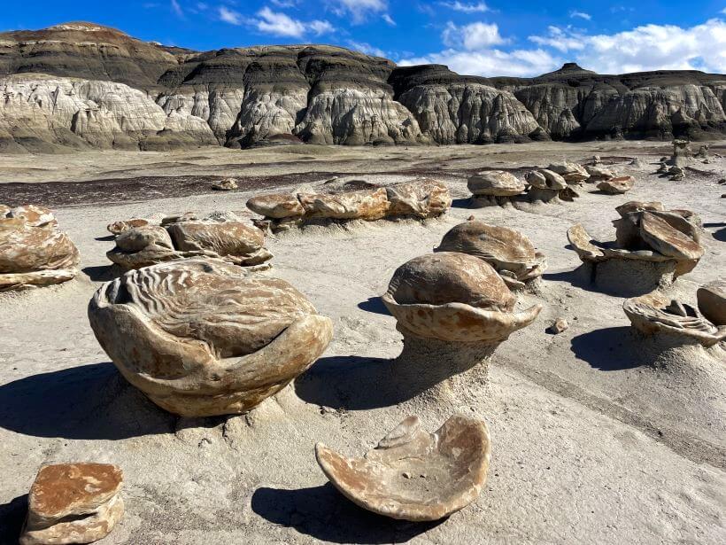 Bisti Badlands/De-Na-Zin Wilderness