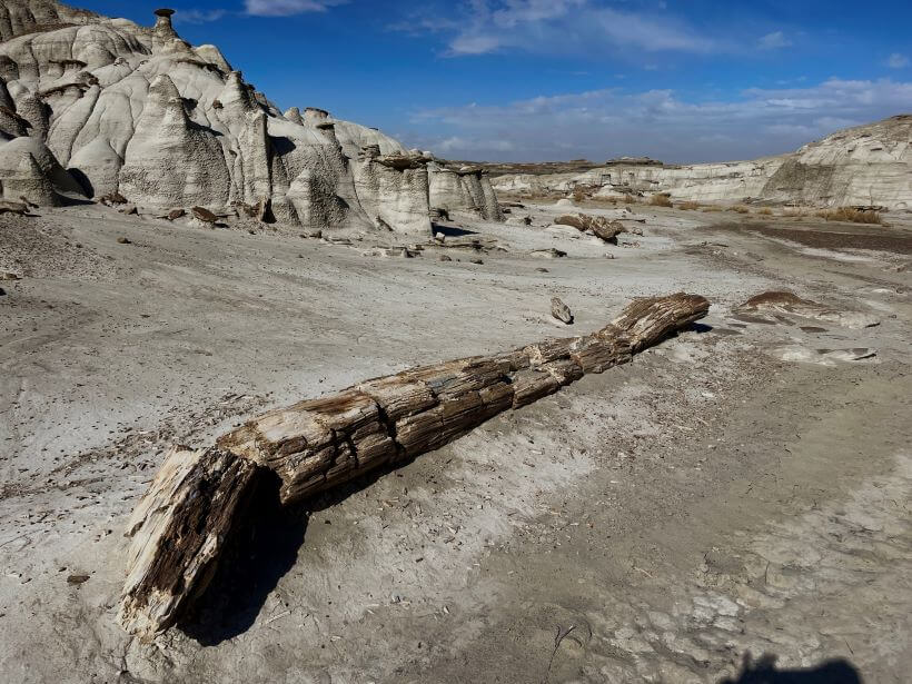 Bisti Badlands/De-Na-Zin Wilderness