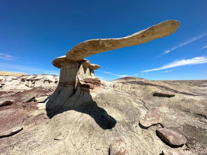 King of Wings Hoodoo, Bisti Badlands