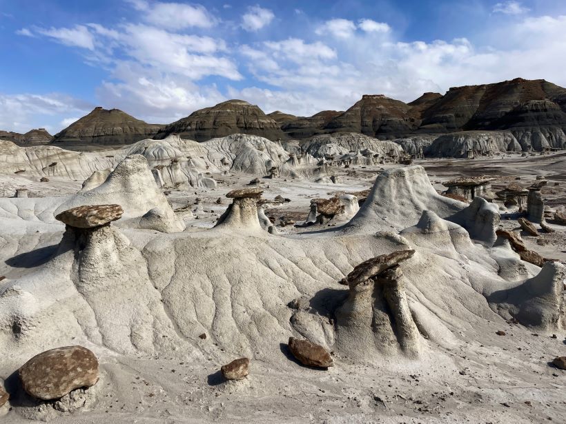 Bisti Badlands/De-Na-Zin Wilderness